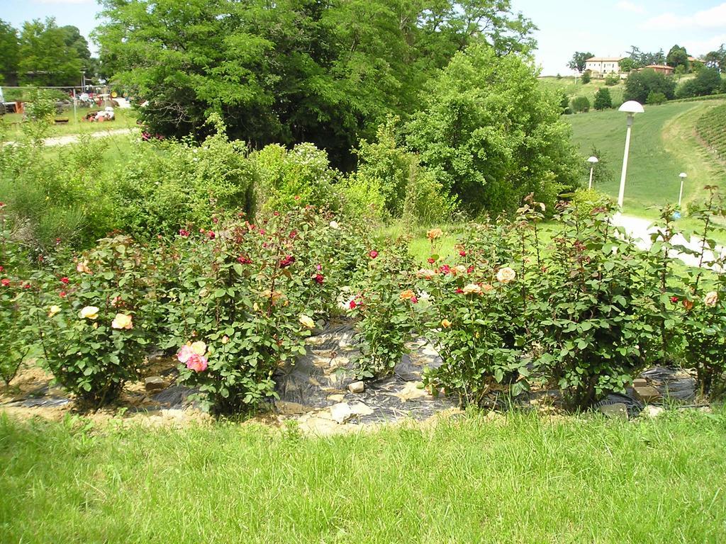 Agriturismo Gaggioli Borgo Delle Vigne Zola Predosa Buitenkant foto