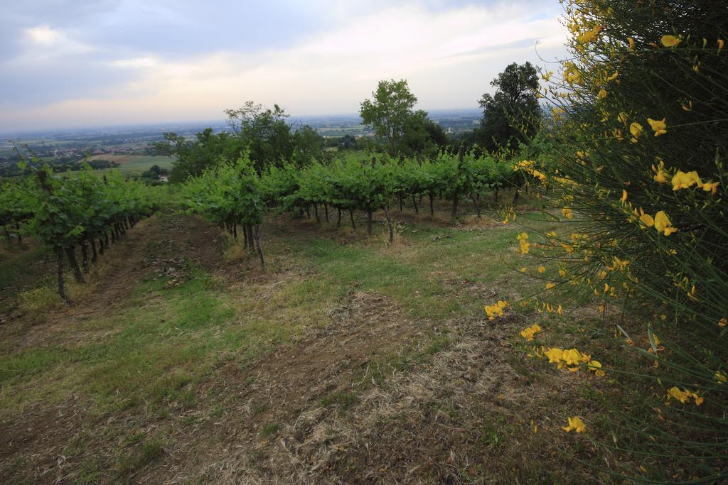 Agriturismo Gaggioli Borgo Delle Vigne Zola Predosa Buitenkant foto