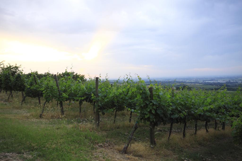 Agriturismo Gaggioli Borgo Delle Vigne Zola Predosa Buitenkant foto