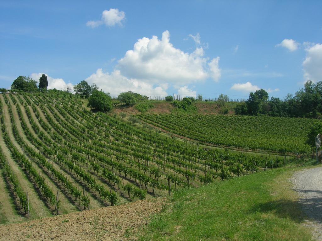 Agriturismo Gaggioli Borgo Delle Vigne Zola Predosa Buitenkant foto