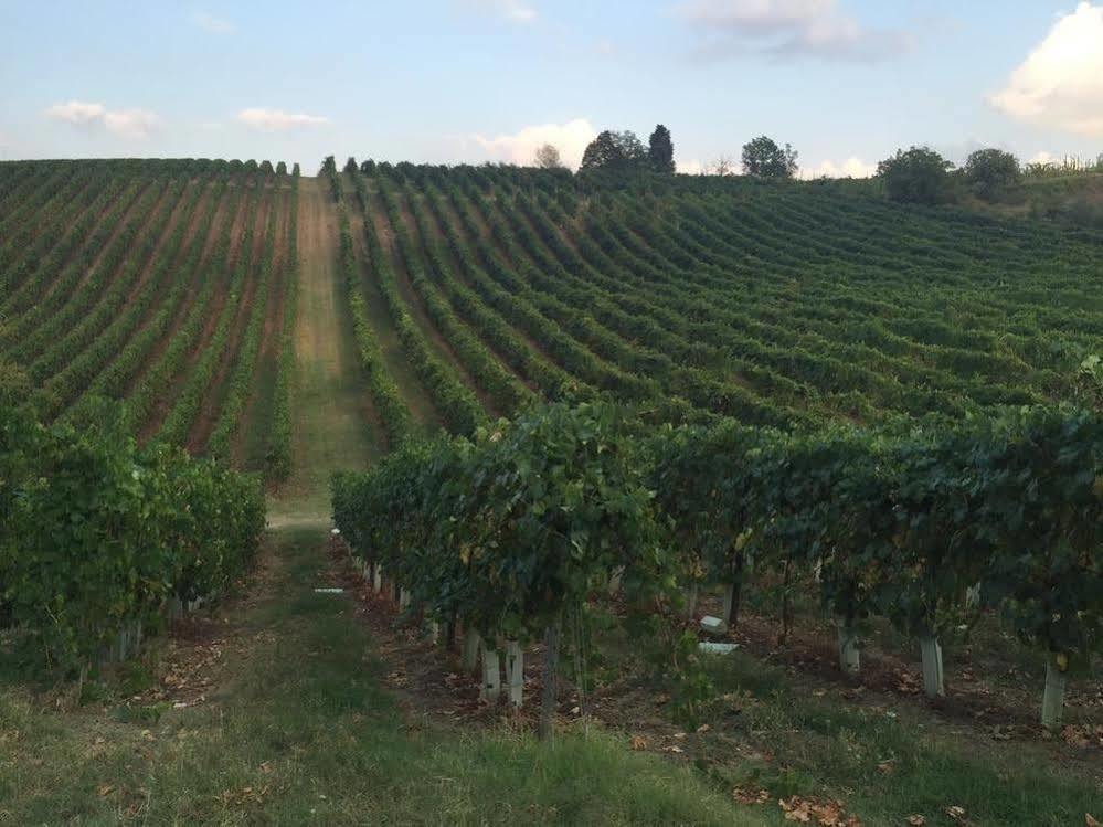 Agriturismo Gaggioli Borgo Delle Vigne Zola Predosa Buitenkant foto